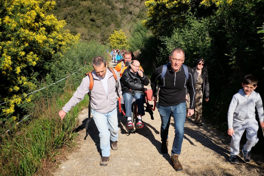 Les participants n’étaient pas venus faire de la figuration ! Après une formation accélérée joëlette ils ont empoigné les engins et dans la bonne humeur ont avalé la piste de Peygros à travers les mimosas et les chênes lieges.