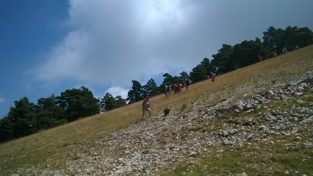 Slaloms sur la piste rouge de l'Audibergue